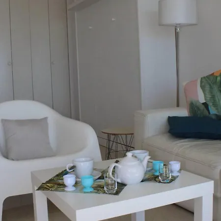 Cosy Climatise Avec Vue - 4 Couchages, - Fr-1-252a-17 Apartment Villeneuve-Loubet